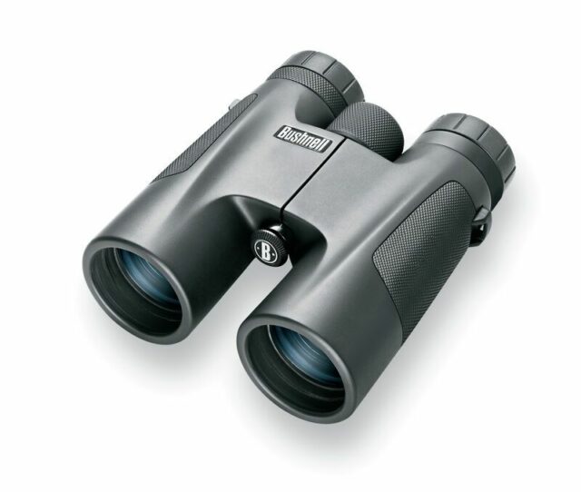 Ďalekohľad Bushnell Powerview 10×42 Roof camo