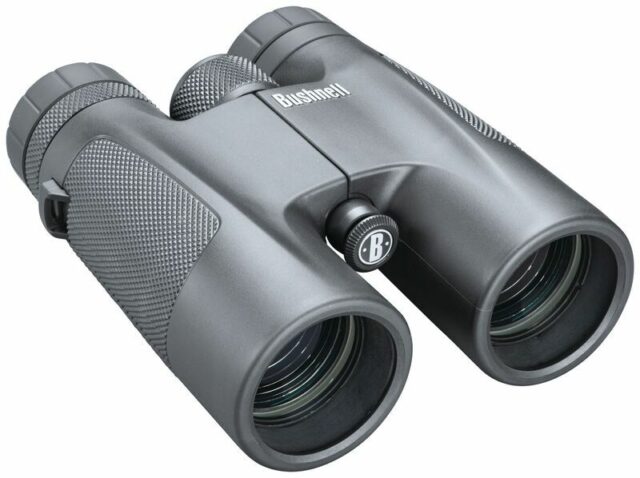 Ďalekohľad Bushnell Powerview 10×42 Roof camo