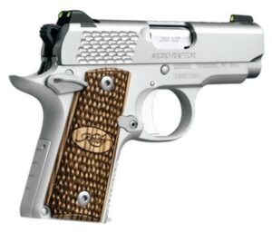 Kimber Micro Raptor Stainless